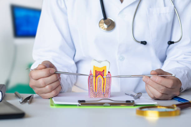 Best Emergency Care for Gum Disease in South Laurel, MD